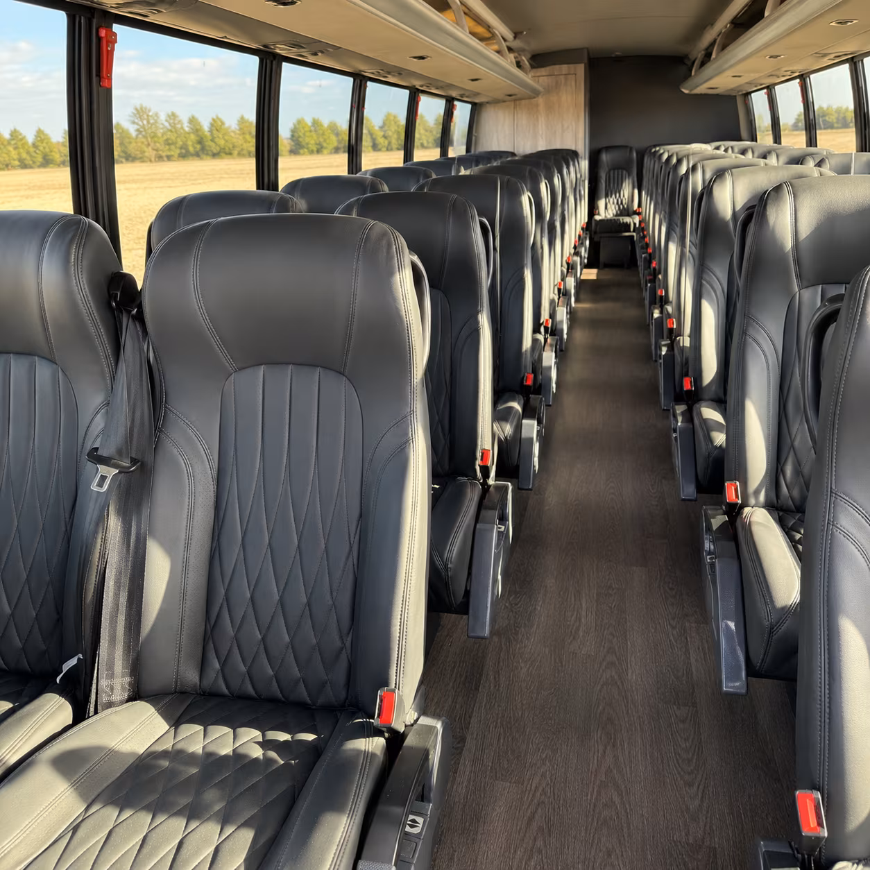 compare buses in minutes not days