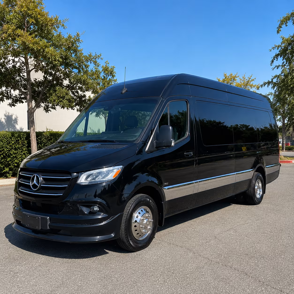 lynchburg sprinter limousine